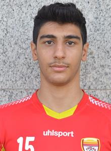 Hosin Mohammadian
