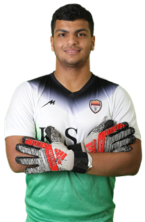 Amir Bahmanpor